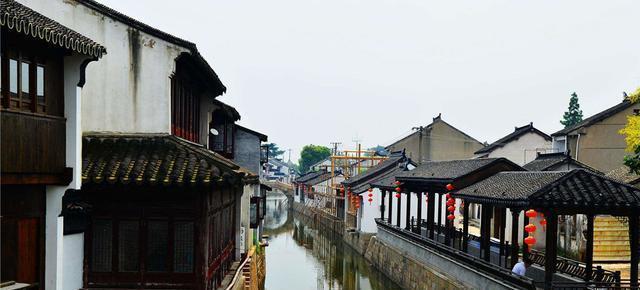 动物帮帮忙保卫家园