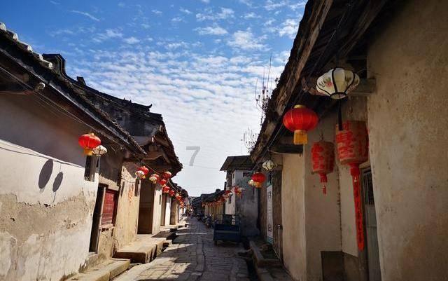 救援鹦鹉