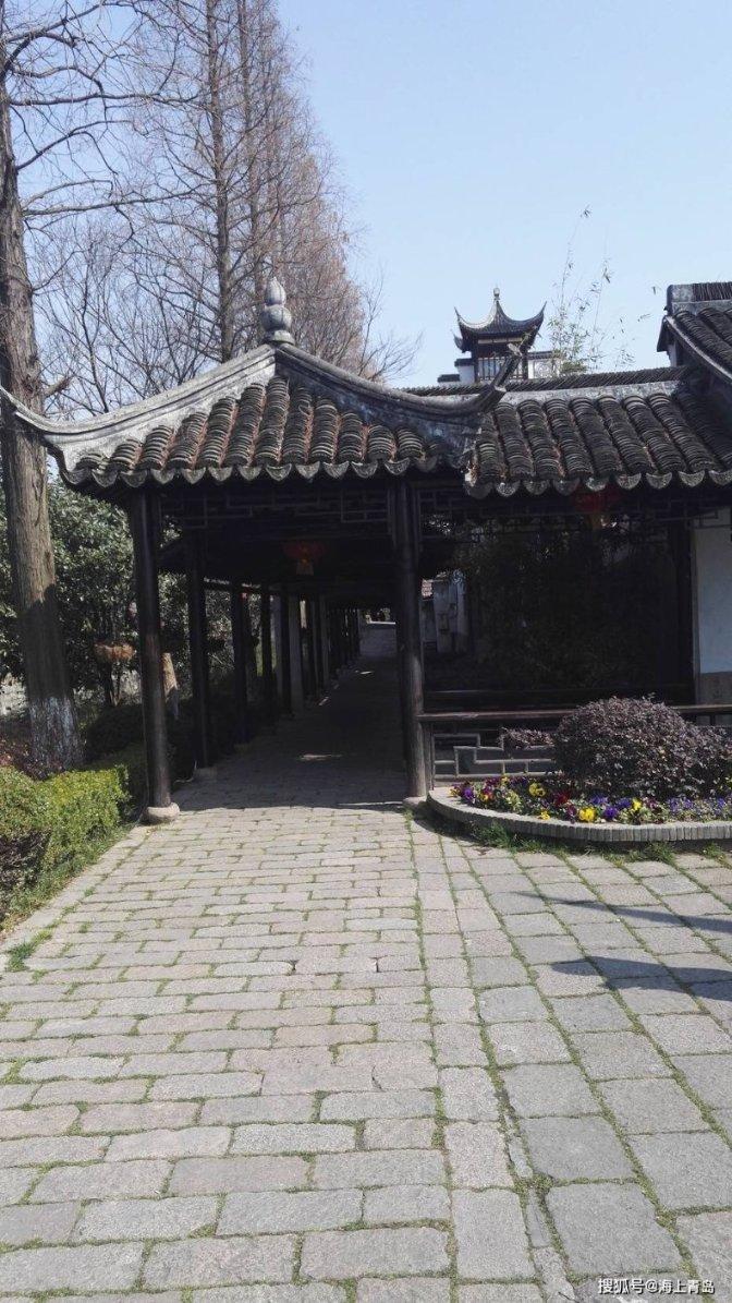 动物帮帮忙保卫家园