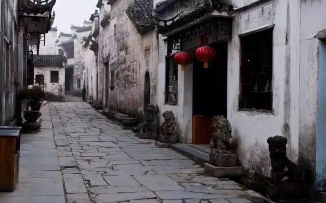 逗小猴开心系列213