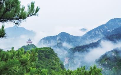 虫虫助手下载