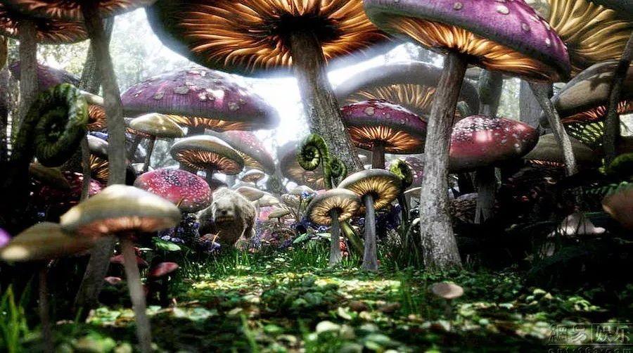 温州新城旭辉·未来海岸|新的一年,新的愿望