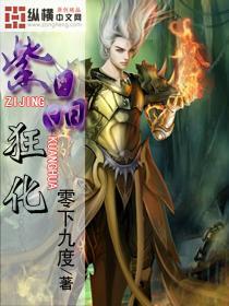 拯救精灵的土地9